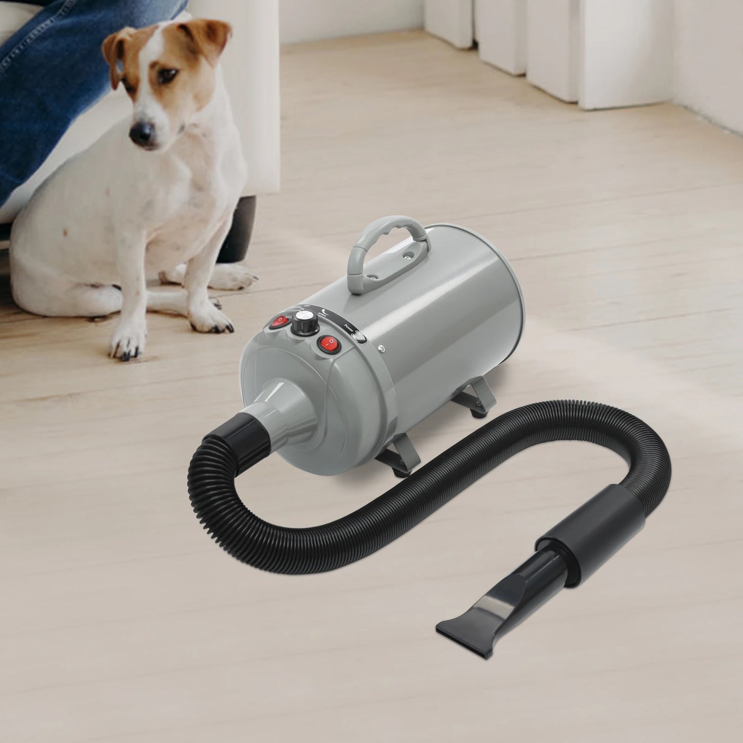 Electric Pet Hair Dryer with Adjustable Wind and Nozzles