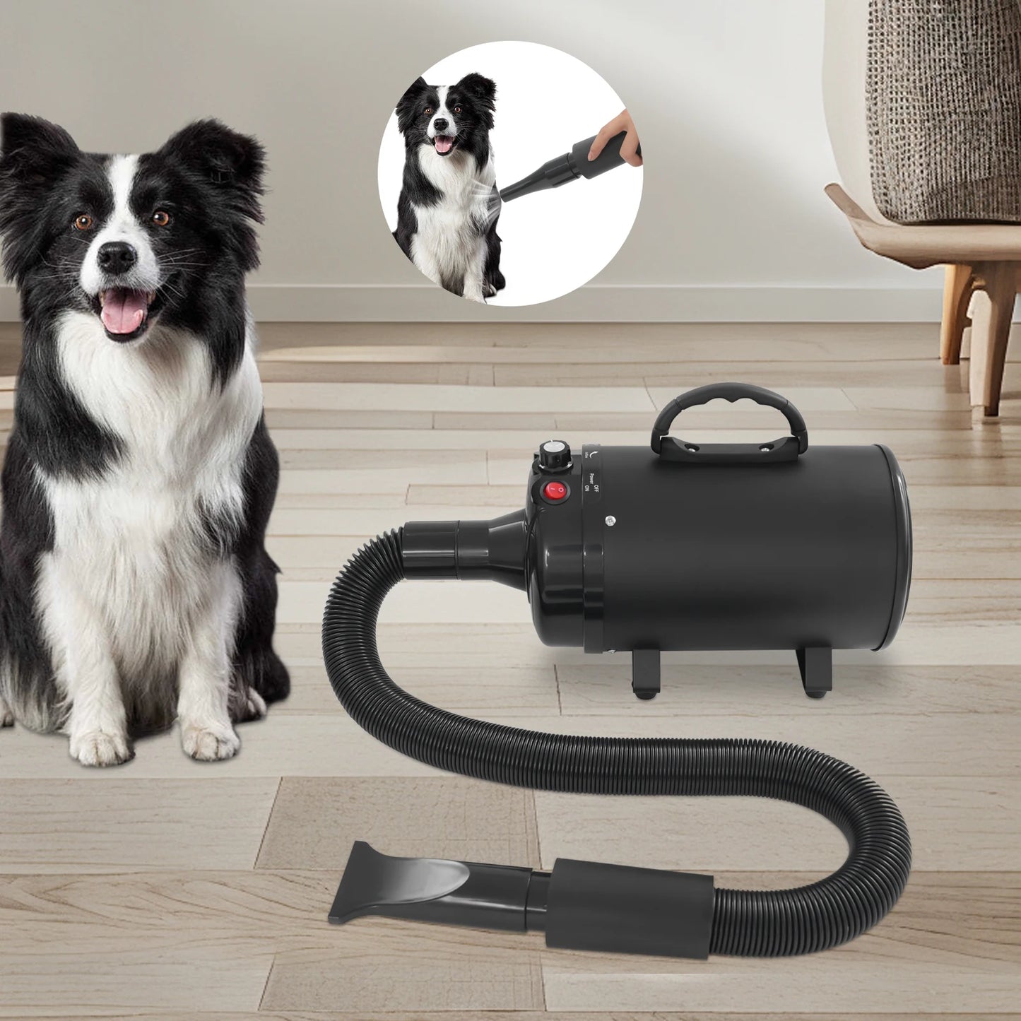 Electric Pet Hair Dryer with Adjustable Wind and Nozzles