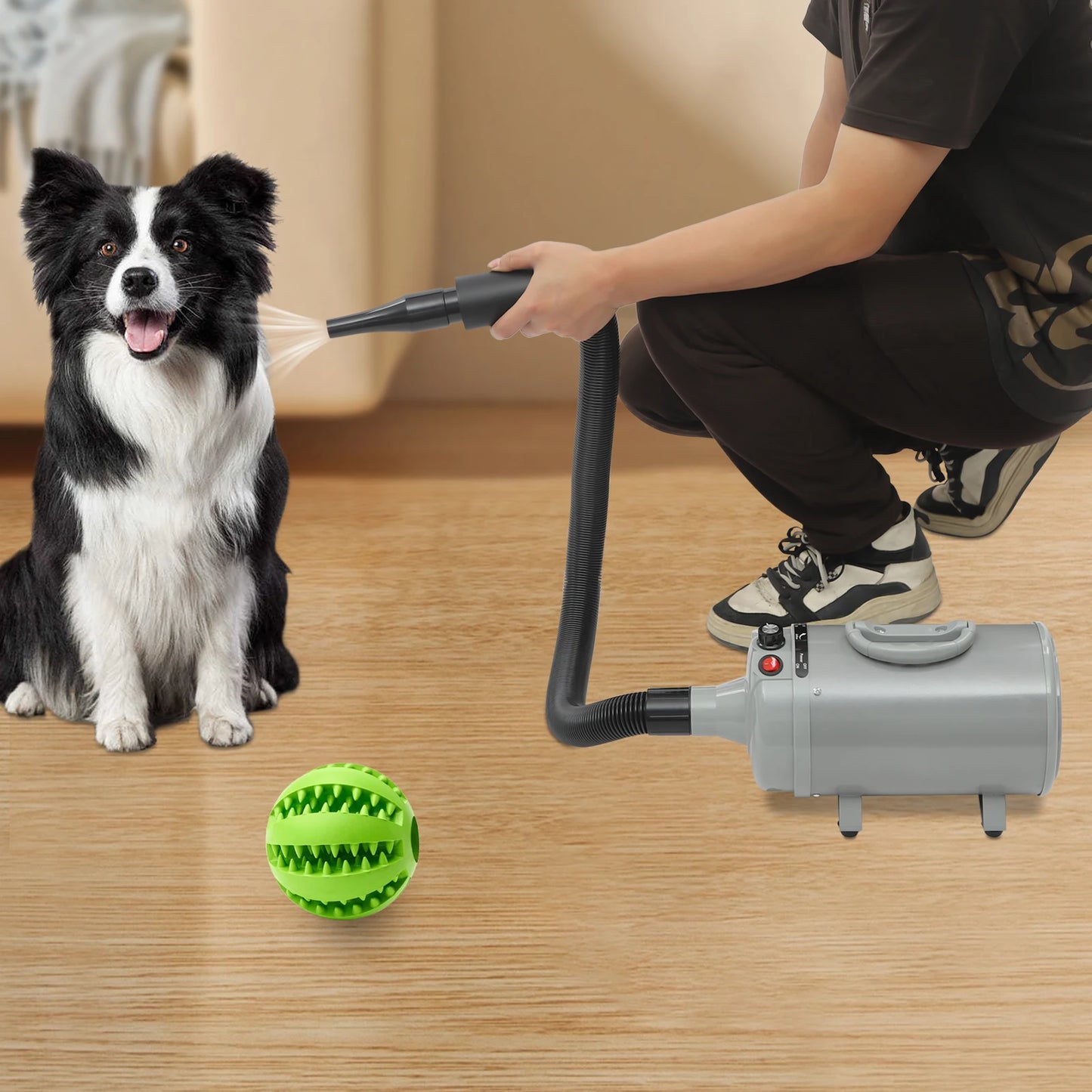 Electric Pet Hair Dryer with Adjustable Wind and Nozzles