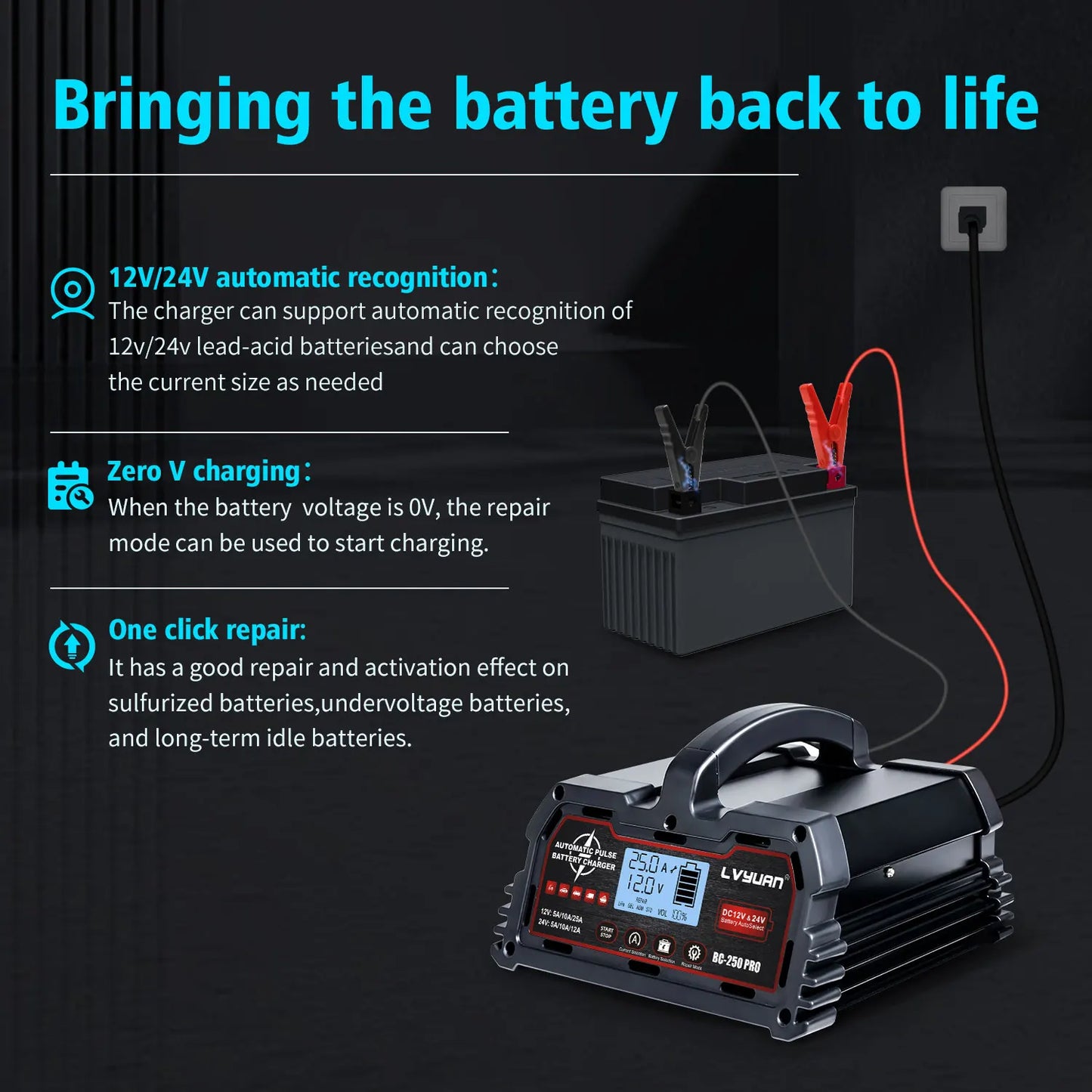 DC 12V 24V Smart Battery Charger With LCD Display Advanced
